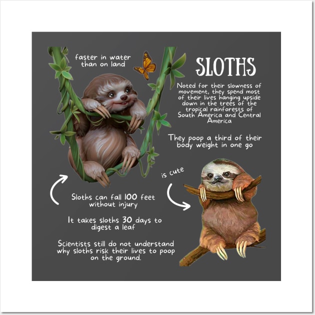 Animal Facts - Sloth Wall Art by Animal Facts and Trivias